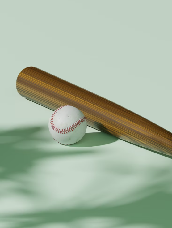 Professional Baseball Bat